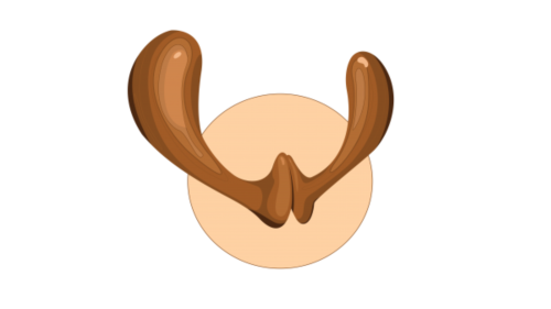 Image Weppy Image Weppy