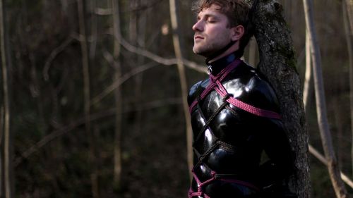 Bild zu Rubbery