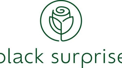 Image Black Surprise Image Black Surprise
