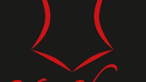 Bild zu YourShape