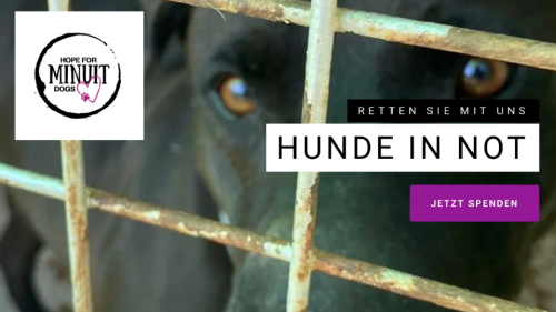 Bild zu Schweizer Tierschutzprojekt Bild zu Schweizer Tierschutzprojekt