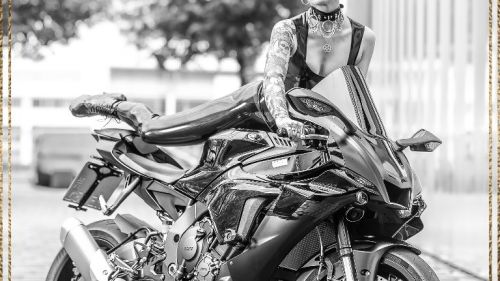 BildeSpill / MORPH.Arts Photo & Graphic - Foto Nr. 12