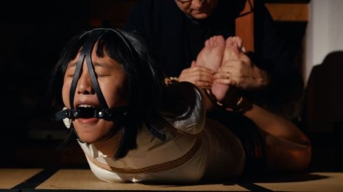 Bild zu AllieBowString