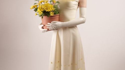 TARZA & JANE - Photo No 2