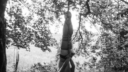  Phieli in Ropes - Photo No 4